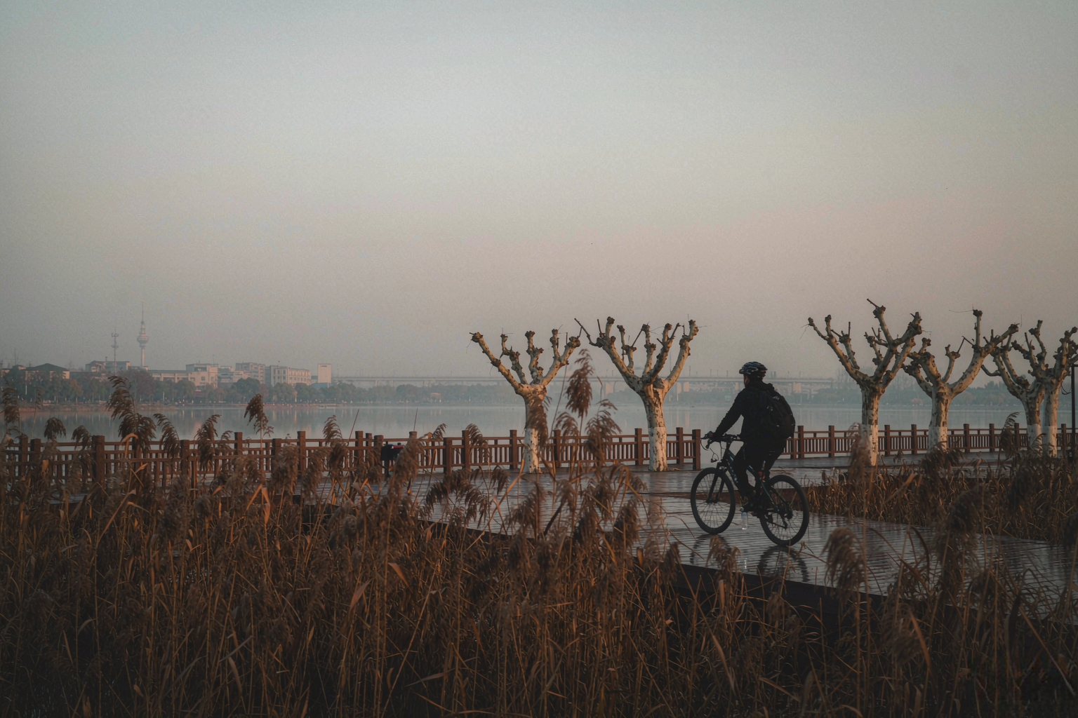 清晨的东湖，雾里有人在骑车